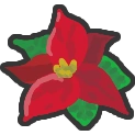 Poinsettia